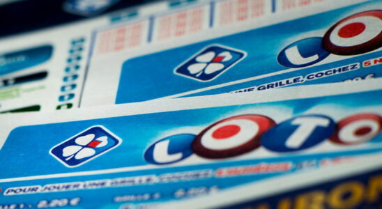 Loto result FDJ the draw for Saturday November 23 2024