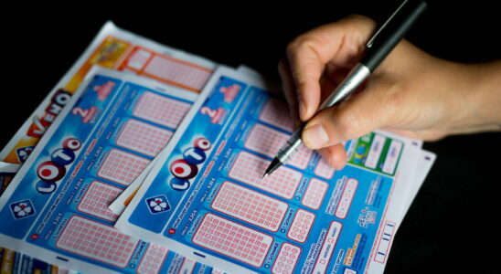 Loto result FDJ the draw for this Monday November 4