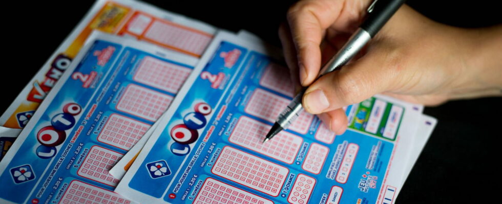 Loto result FDJ the draw for this Monday November 4