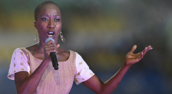 Malian singer Rokia Traore transferred from Italy was imprisoned in