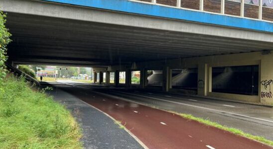 Man who pulled young women off their bicycles in Utrecht