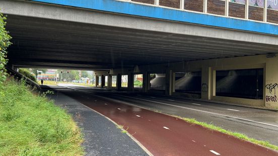 Man who pulled young women off their bicycles in Utrecht