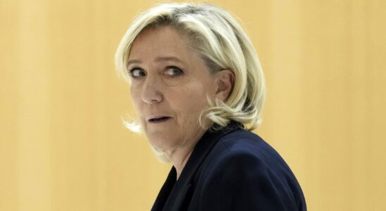 Marine Le Pen ineligible and not a presidential candidate The