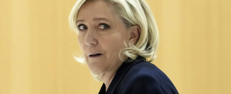 Marine Le Pen ineligible and not a presidential candidate The