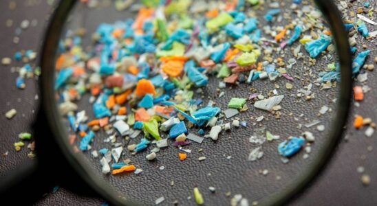 Microplastics not fantastic for human health