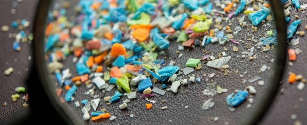 Microplastics not fantastic for human health