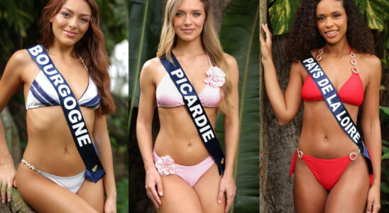 Miss France swimsuit photos reveal a lot more than usual