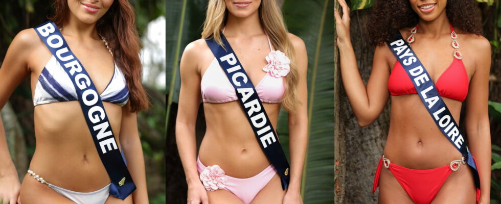 Miss France swimsuit photos reveal a lot more than usual