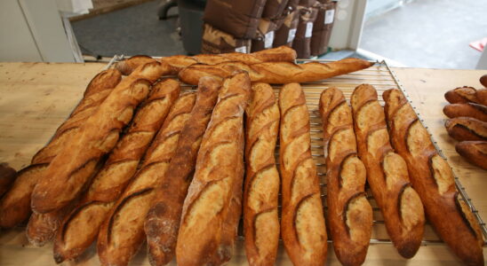 New record price for baguettes is yours more expensive than