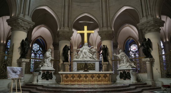 Notre Dame de Paris the first photos revealed before its reopening