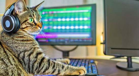 Nvidia Fugatto an AI system that can produce sound from