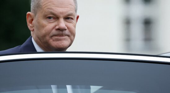 Olaf Scholz replaced before Christmas Pressure mounts on the chancellor