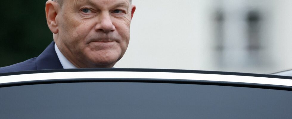 Olaf Scholz replaced before Christmas Pressure mounts on the chancellor