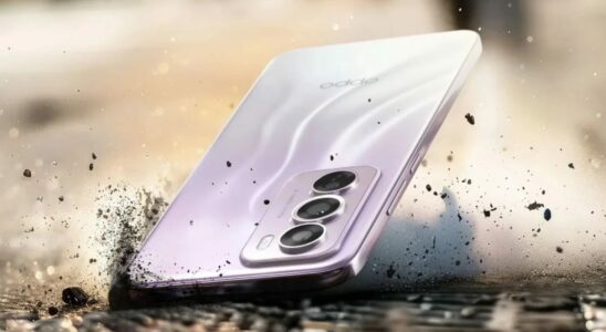 Oppo Reno 13 Design Revealed Here are the Images of