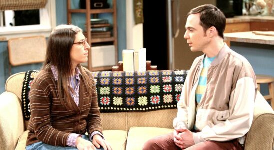 Paradox in The Big Bang Theory this actress was