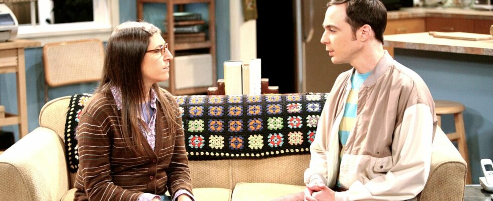 Paradox in The Big Bang Theory this actress was