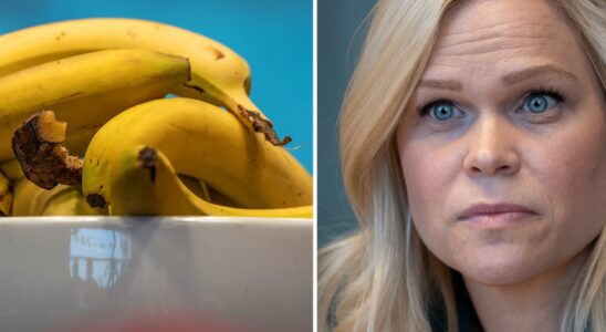 Paulina Brandbergs email about the banana ban