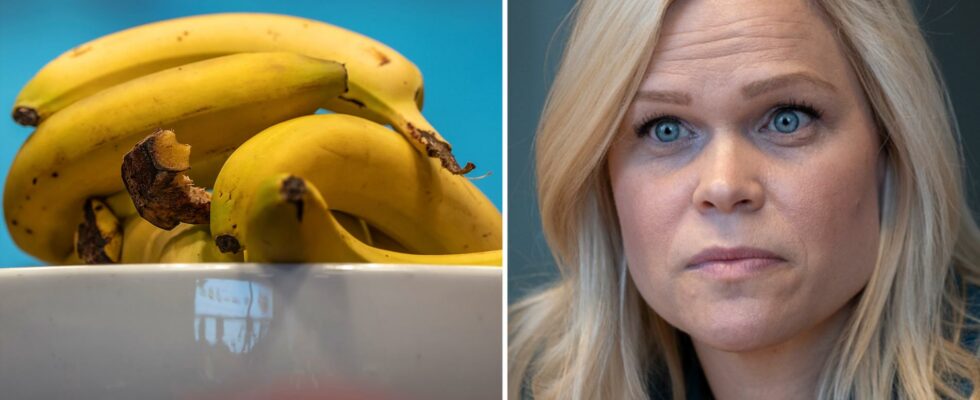 Paulina Brandbergs email about the banana ban