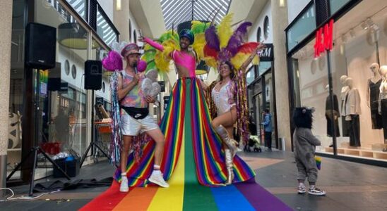 Pride Amersfoort stops due to financial uncertainty