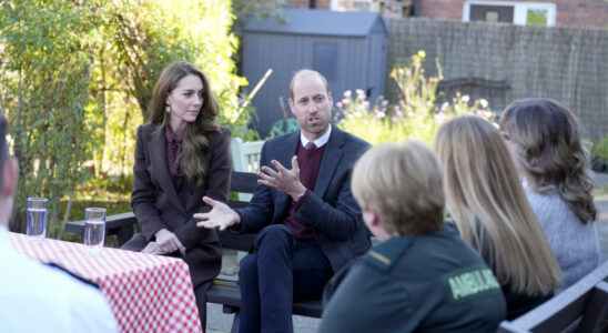 Princess Kate appears in public again for Armistice Day