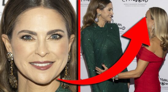 Princess Madeleine partied with the Swedish celebrity in New York