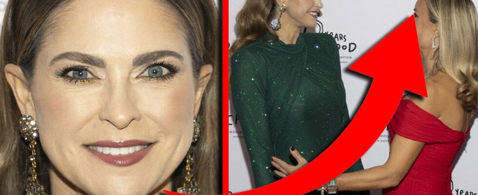 Princess Madeleine partied with the Swedish celebrity in New York