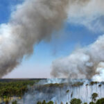 Rate of deforestation in the Brazilian Amazon at its lowest