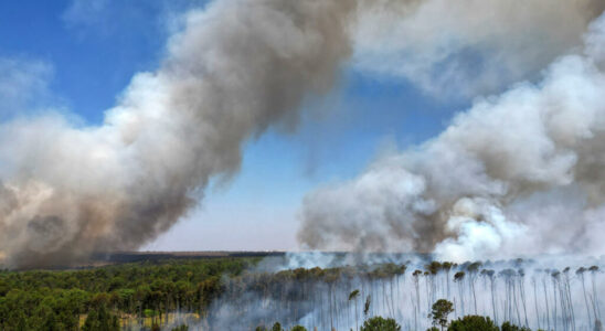 Rate of deforestation in the Brazilian Amazon at its lowest