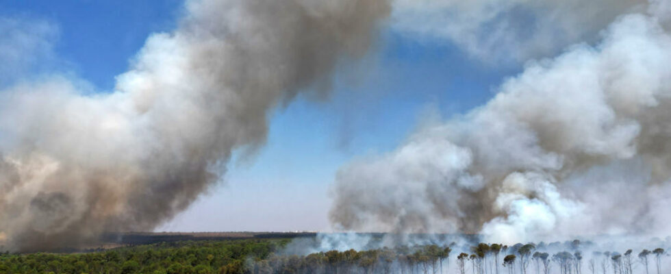 Rate of deforestation in the Brazilian Amazon at its lowest