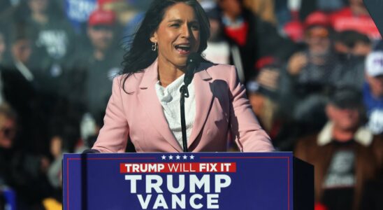 Russia Syria… The worrying positions of Tulsi Gabbard future head