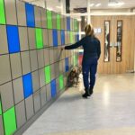 Safe checking with sniffer dogs fireworks and nitrates at schools