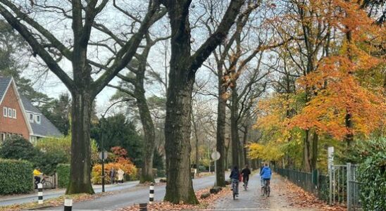 School in Zeist advises against cycling alone after being threatened