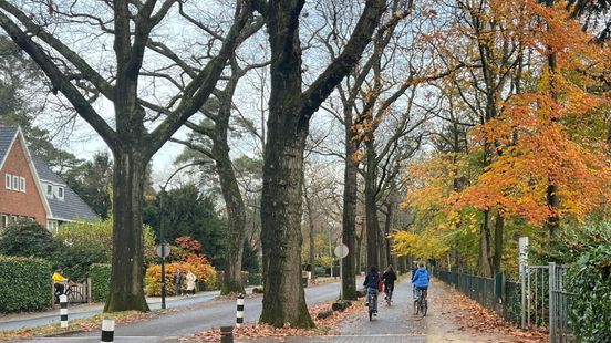 School in Zeist advises against cycling alone after being threatened