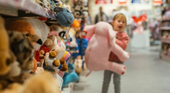 Soft toys and board games stimulate the French toy market