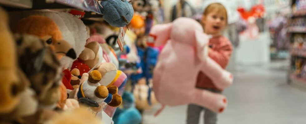 Soft toys and board games stimulate the French toy market