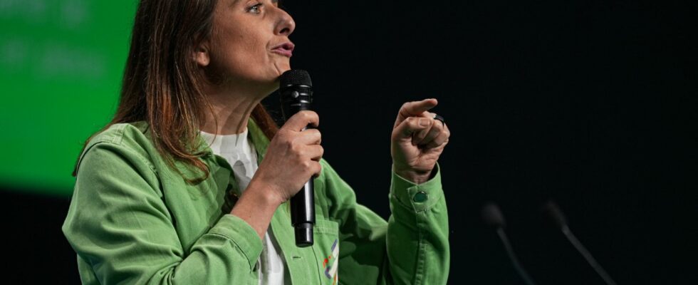 Soon Greens Insoumis How Marine Tondelier risks diluting her party in