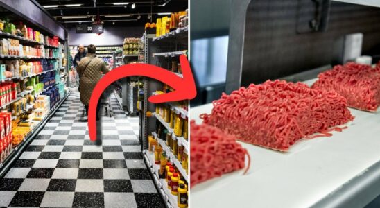 Storm of criticism against new minced meat contains both