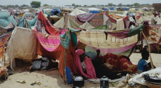 Sudanese refugees in Chad accuse humanitarians and local forces of