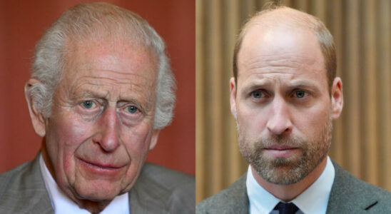 Sunday Times reveals how Charles III and William allegedly received