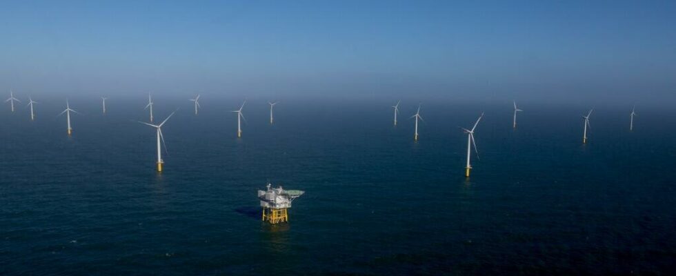 Sweden abandons wind power in the Baltic Sea due to