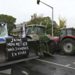 The French sugar sector facing foreign imports