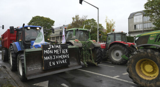 The French sugar sector facing foreign imports