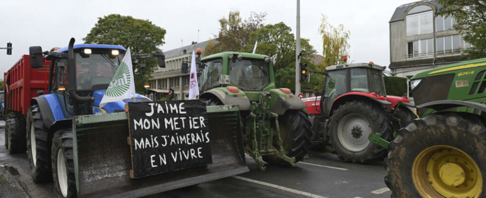 The French sugar sector facing foreign imports