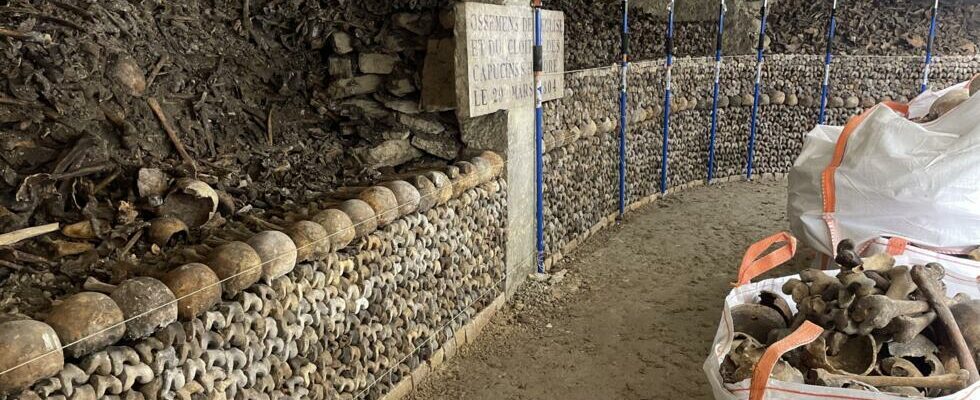 The catacombs of Paris are entitled to a large scale and