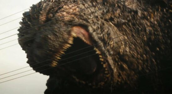 The next Godzilla film has been announced and the director