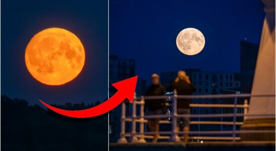 Then you can see the last supermoon of the year