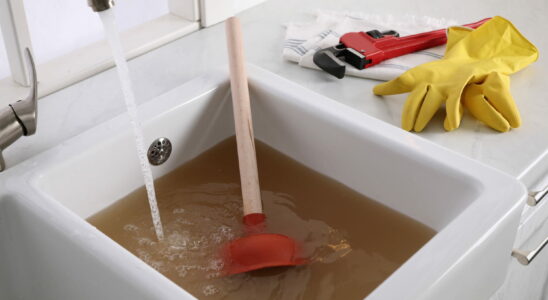 This Simple Home Remedy Can Unclog a Sink – Plumbers