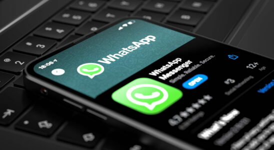 This new option on WhatsApp allows you to never lose