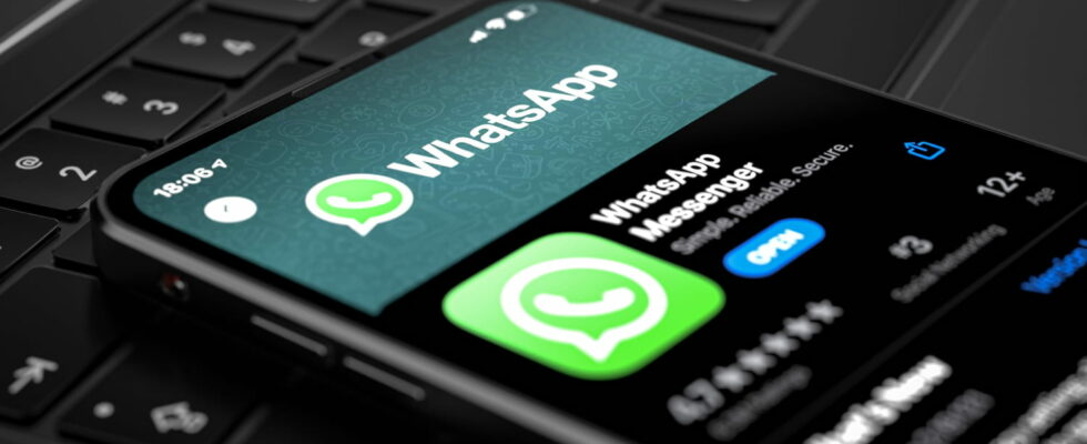 This new option on WhatsApp allows you to never lose