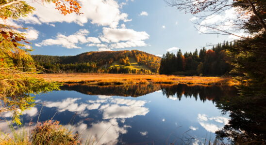 This place in France looks like Canada it offers a